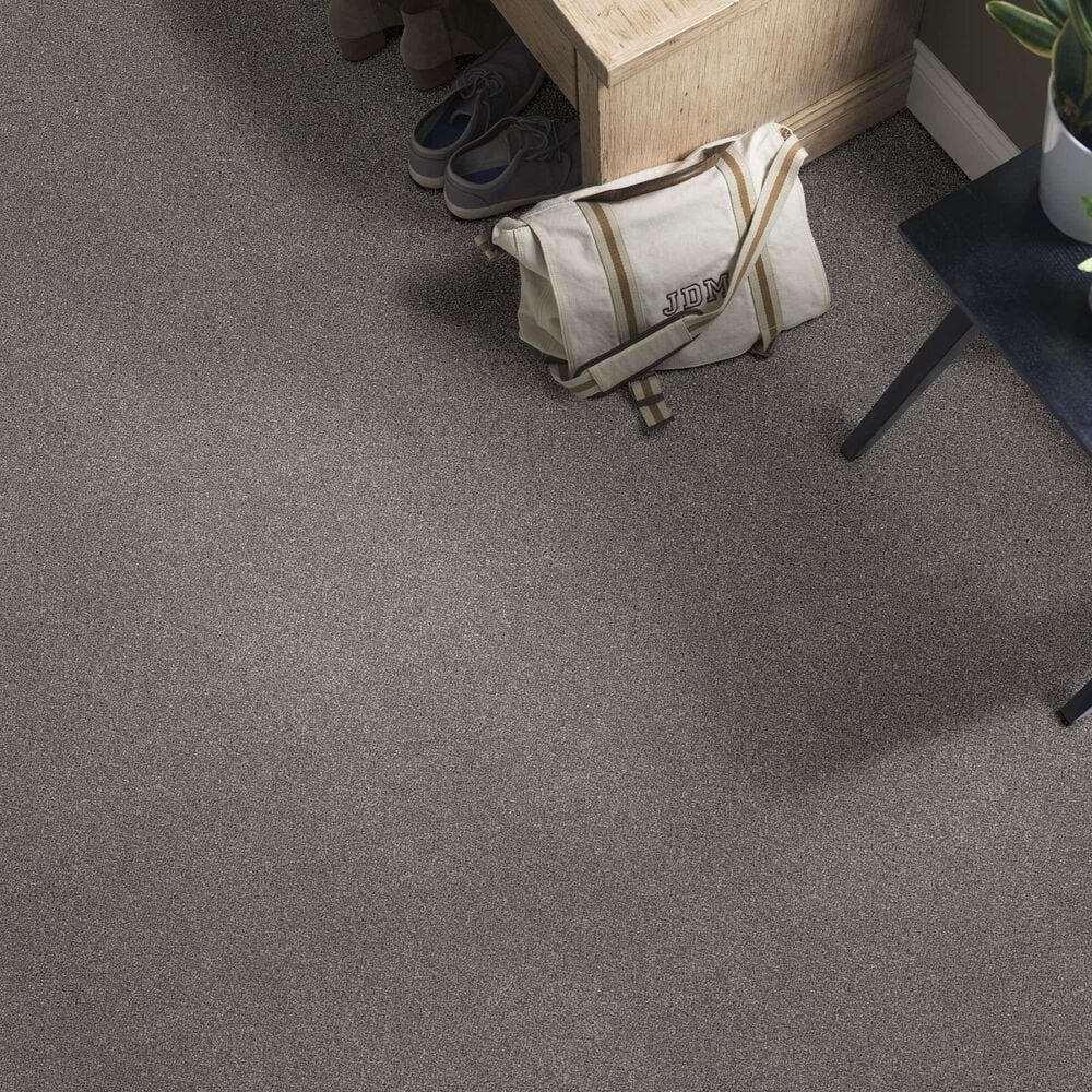 Anderson Tuftex Caress Cozy Harbor I Carpet in Well Traveled, , large