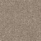Shaw Easy Spirit II 12" Carpet in Natural Contour, , large