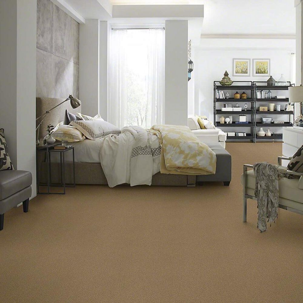 Anderson Tuftex Barracan Classic IV Carpet in Navajo, , large