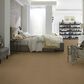 Anderson Tuftex Barracan Classic IV Carpet in Navajo, , large