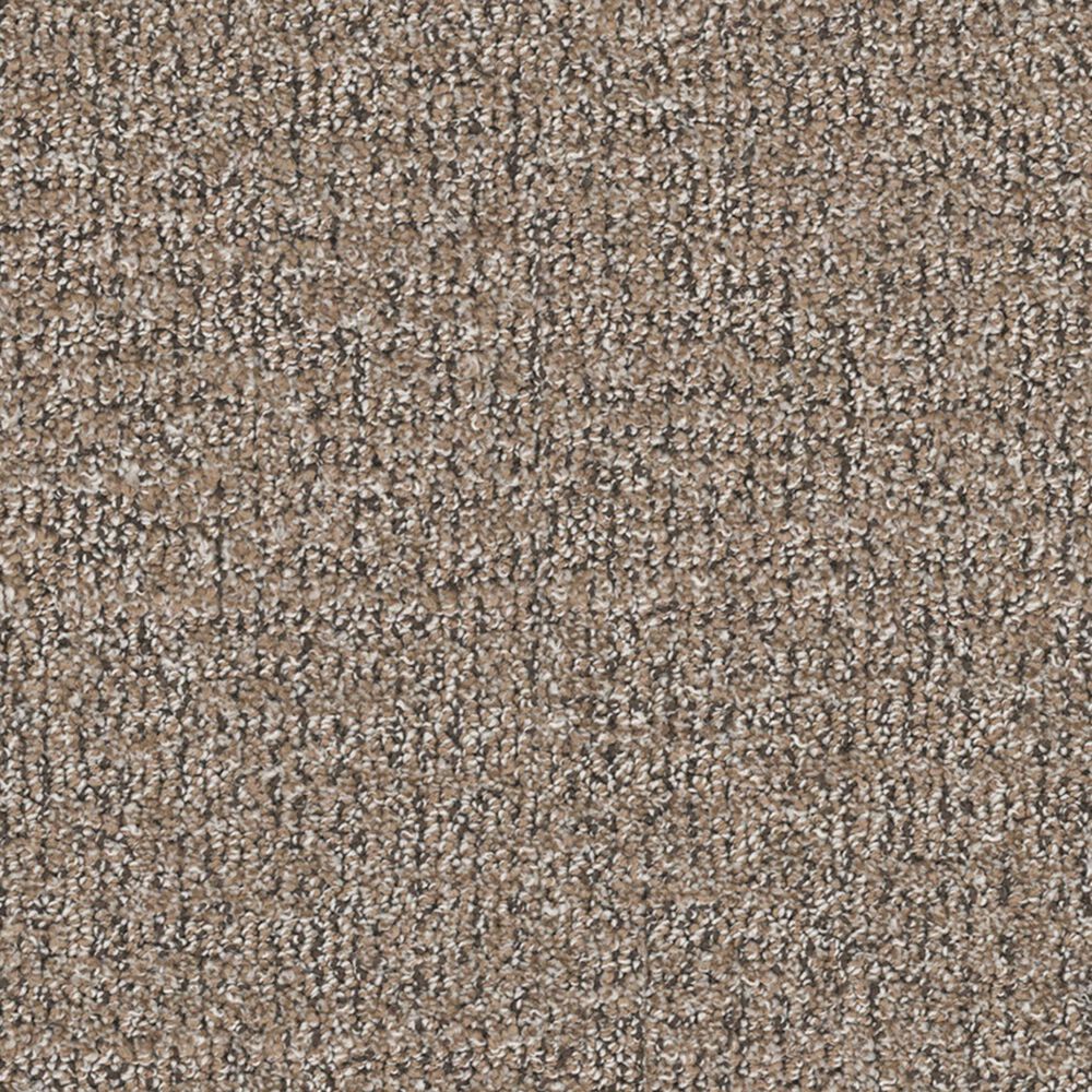 Marquis Caress Carpet in Summerwood, , large