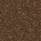 Anderson Tuftex Enchanting Carpet in Bronco, , large