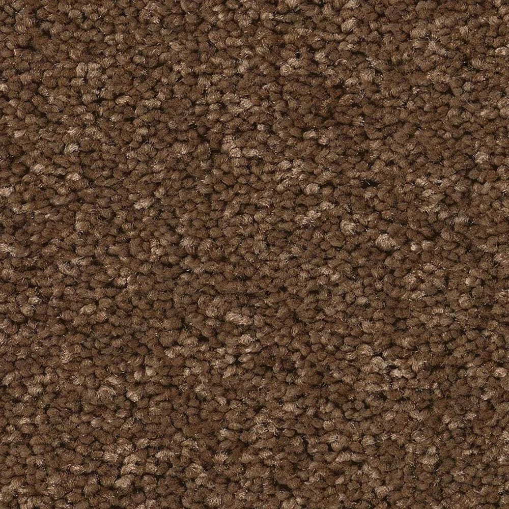 Anderson Tuftex Enchanting Carpet in Bronco, , large