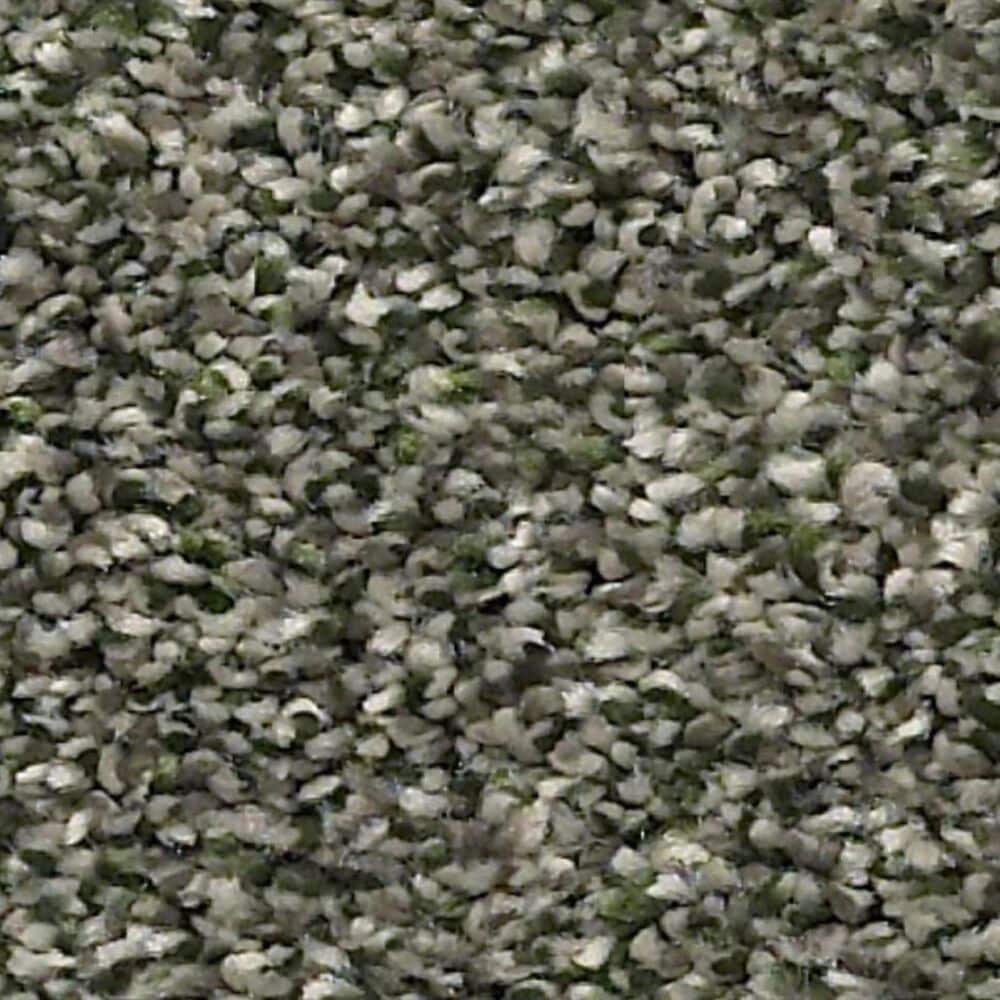 Shaw Points of Color I Carpet in Lush, , large