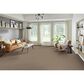 Phenix Emerson Carpet in Seamless, , large