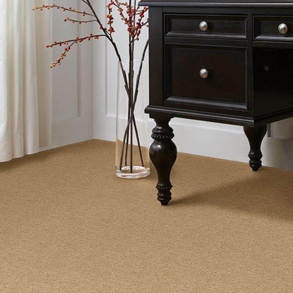 Anderson Tuftex Star Power Carpet in Sunspot, , large