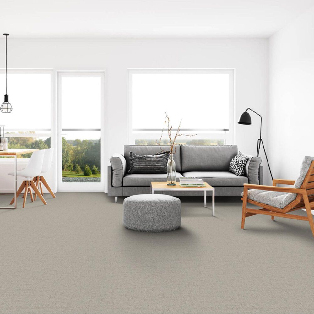 Dixie Home Genuine Carpet in Simplicity, , large