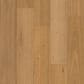 Shaw Bridgewater Golden Canopy Eucalyptus Hardwood, , large