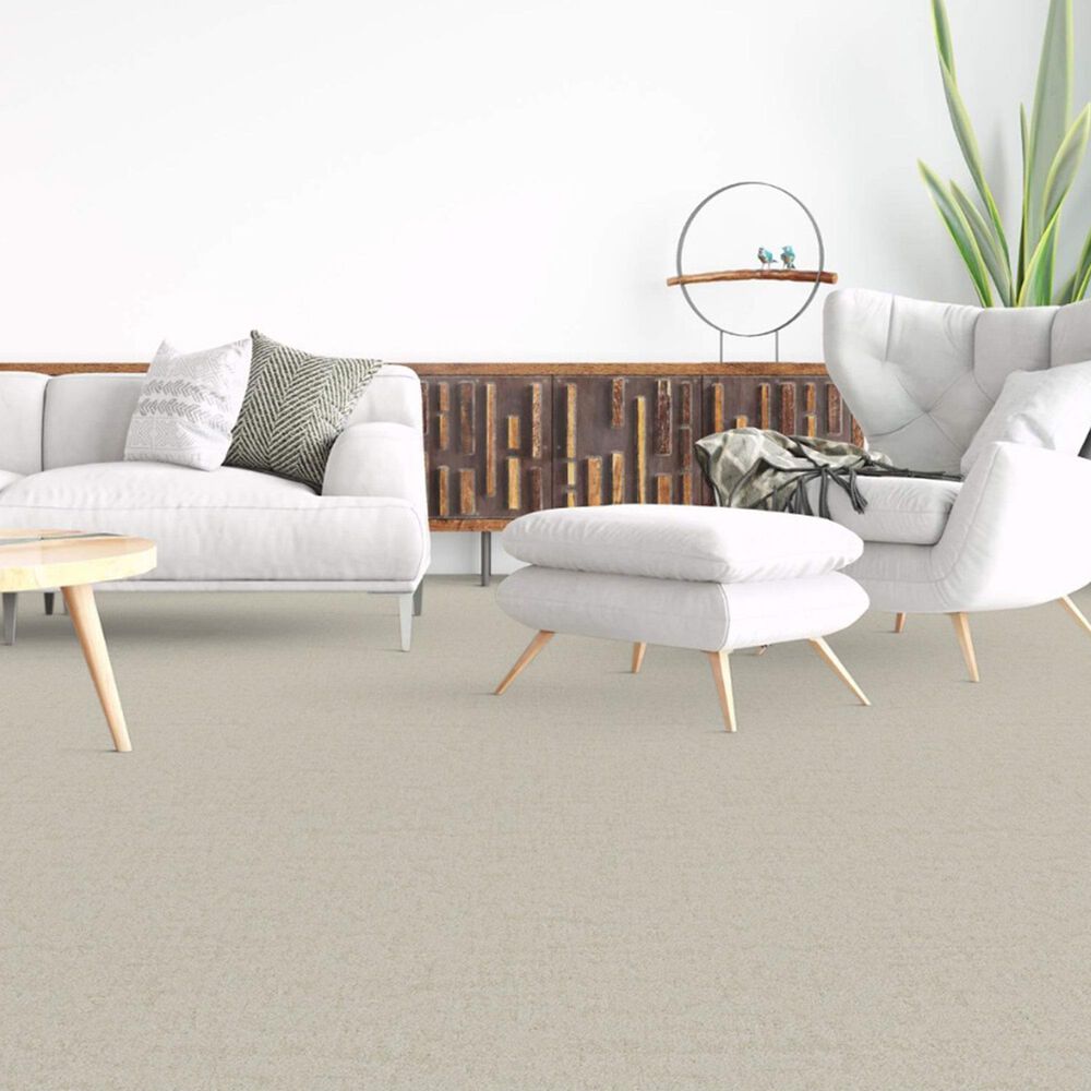 Dixie Home Genuine Carpet in Faithful, , large