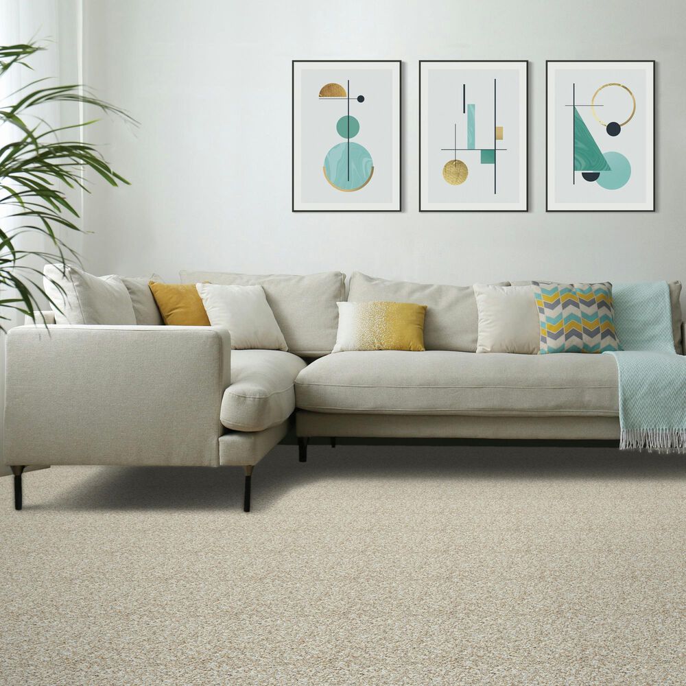 Mohawk Assorted Elements II Carpet in Stoney Path, , large