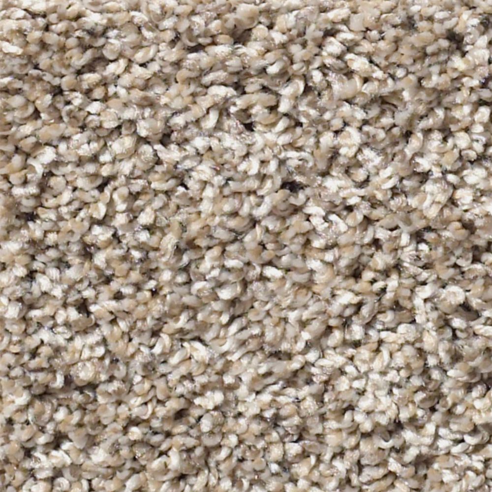 Philadelphia Simply the Best After It II Carpet in Neutral Ground, , large