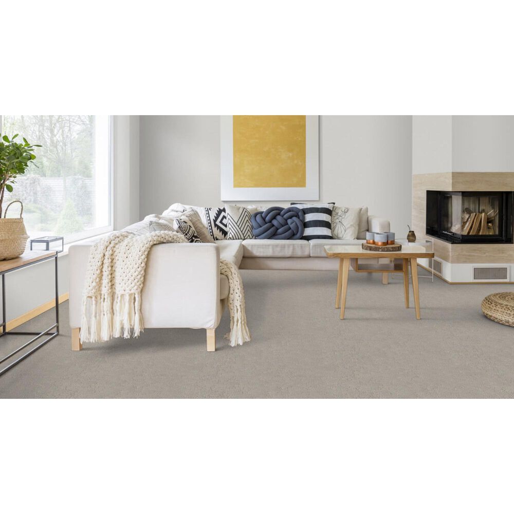 Dixie Home High Hopes Carpet in Stone Path, , large