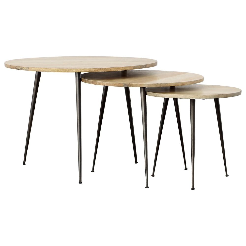 Blue Sun Designs Balasco 3-Piece Nesting Coffee Table Set in Natural, , large