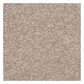 Dixie Home Lavato Carpet in Smoke, , large