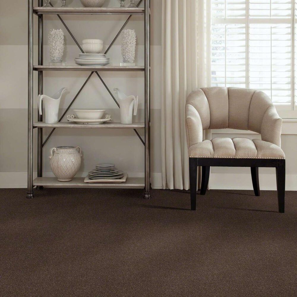 Anderson Tuftex Barracan Classic I Carpet in Spring Wood, , large