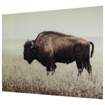 Ashley Brutus 36" x 48" The Bison Wall Art in Sepia, , large