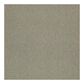 Shaw Counterpart 24" x 24" Carpet Tile in Likewise, , large