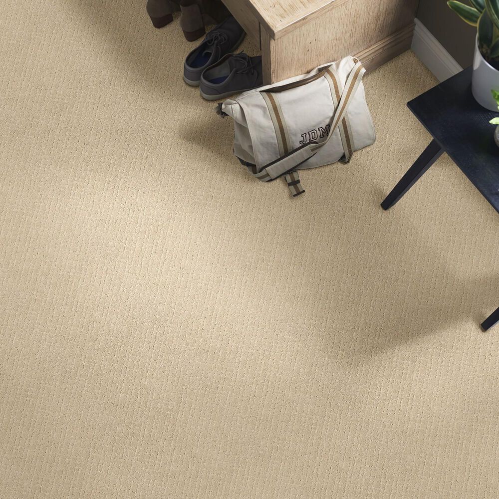 Anderson Tuftex Recital Carpet in Bungalow, , large
