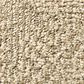 Anderson Tuftex Ario Carpet in Antique, , large