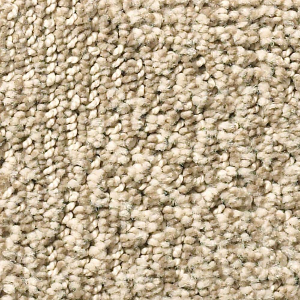 Anderson Tuftex Ario Carpet in Antique, , large