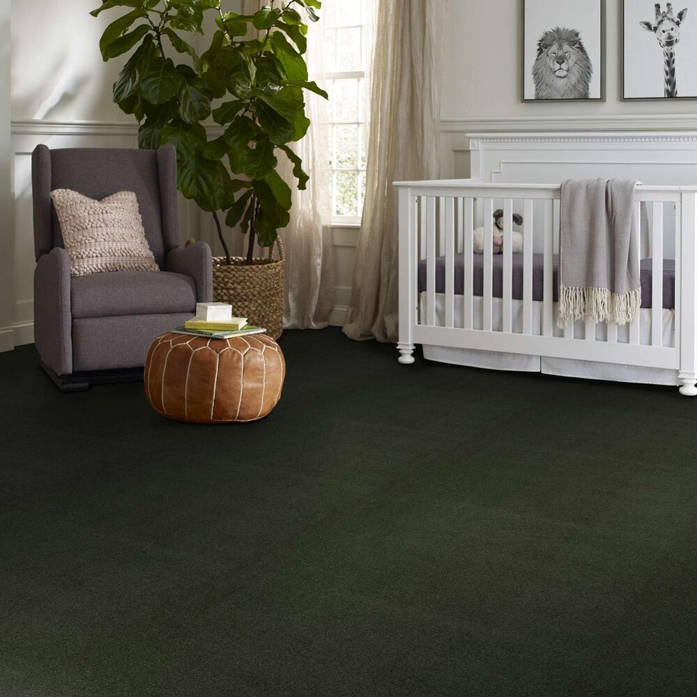 Shaw Luxuriant Carpet in Hidden Valley, , large