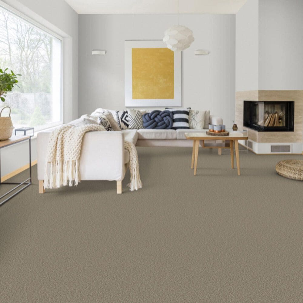Dixie Home Main Force Carpet in Quarry, , large