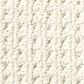 Anderson Tuftex Cabo Cove Carpet in Sparkling, , large
