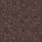 Shaw Canvas Comfort Carpet in Winery, , large
