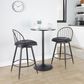 Lumisource Riley 26" Swivel Counter Stool in Black (Set of 2), , large