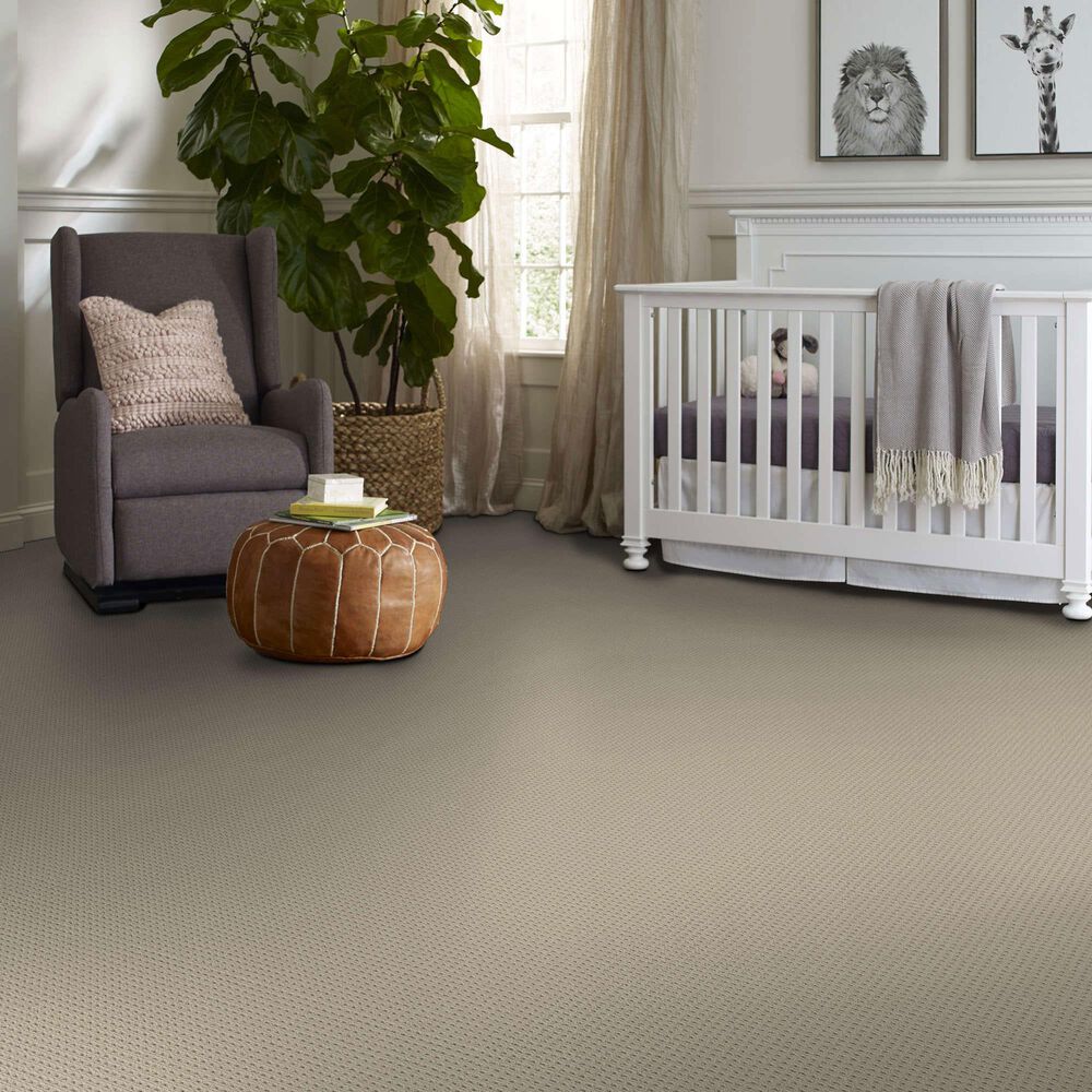 Philadelphia San Antonio Carpet in Fleece, , large