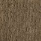 Karastan Graceful Features Carpet in Pamphlet, , large