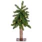 The Gerson Company 2" Alpine Pre-Lit Artificial Christmas Tree in Green, , large