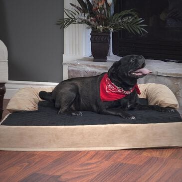Timberlake PETMAKER X-Large Orthopedic Memory Foam Pet Bed in Tan, , large
