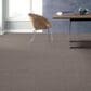 Philadelphia Caress by Shaw Cozy Harbor II Carpet in Stucco, , large