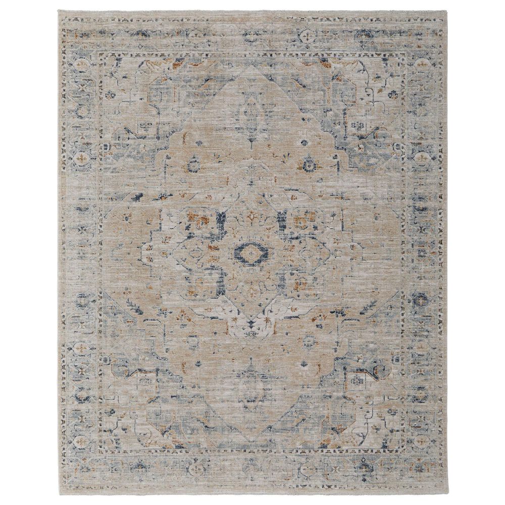 Feizy Pasha 39M5F 6"6" x 9"6" Beige and Blue Area Rug, , large