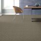 Anderson Tuftex Renoir Carpet in Intrigue, , large