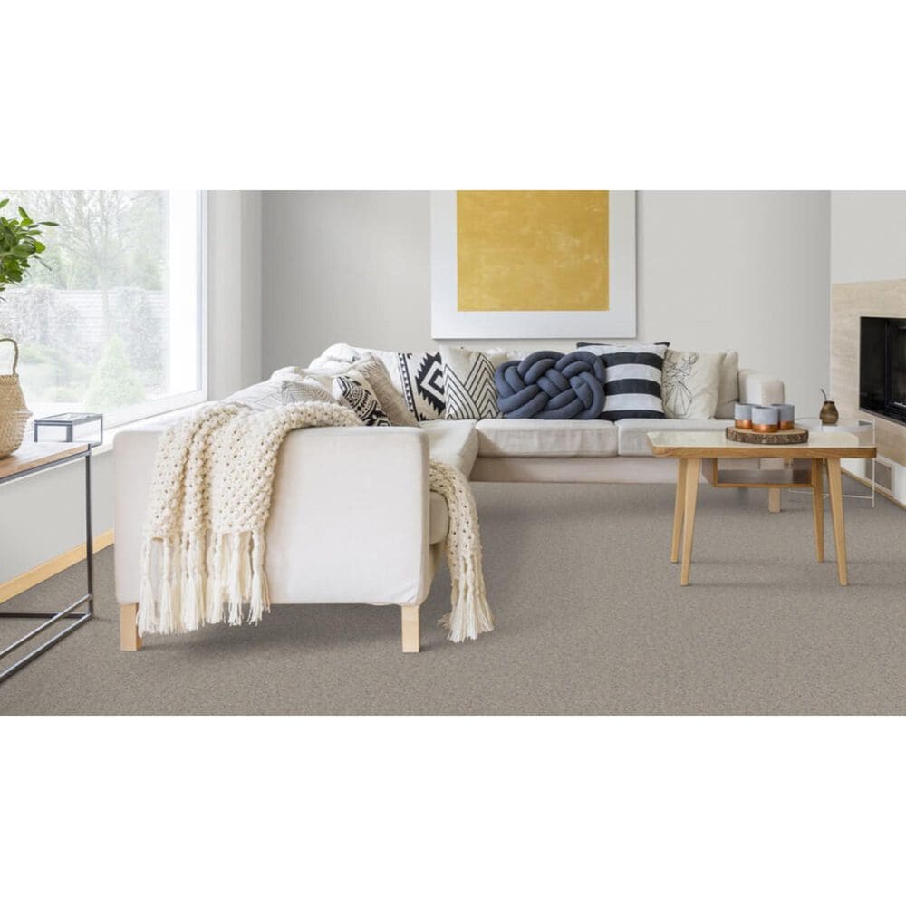 Dixie Home Devotion Carpet in Weathered, , large