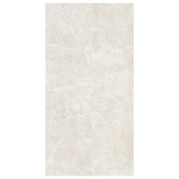 Emser Sterlina II Silver 24" x 47" Matte Porcelain Tile, , large