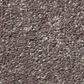 Shaw Well Grounded II 15" Carpet in Pewter, , large