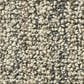Anderson Tuftex Aspen Creek Carpet in Cedar Grove, , large