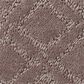 Anderson Tuftex Renoir Carpet in Chantrelle, , large