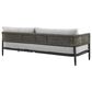 Blue River Felicia 4-Piece Patio Conversation Set in Light Gray, , large