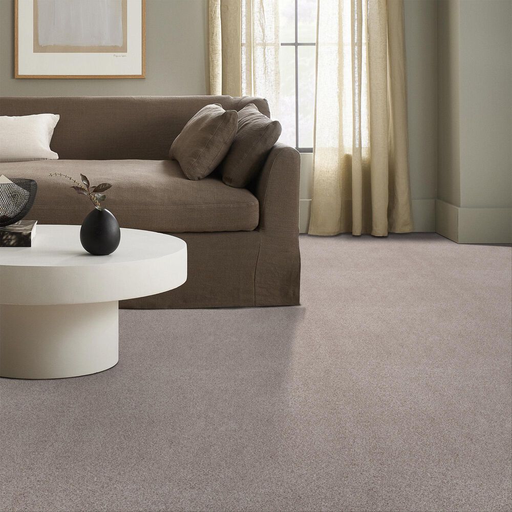 Anderson Tuftex Sumptuous II Carpet in Breton, , large
