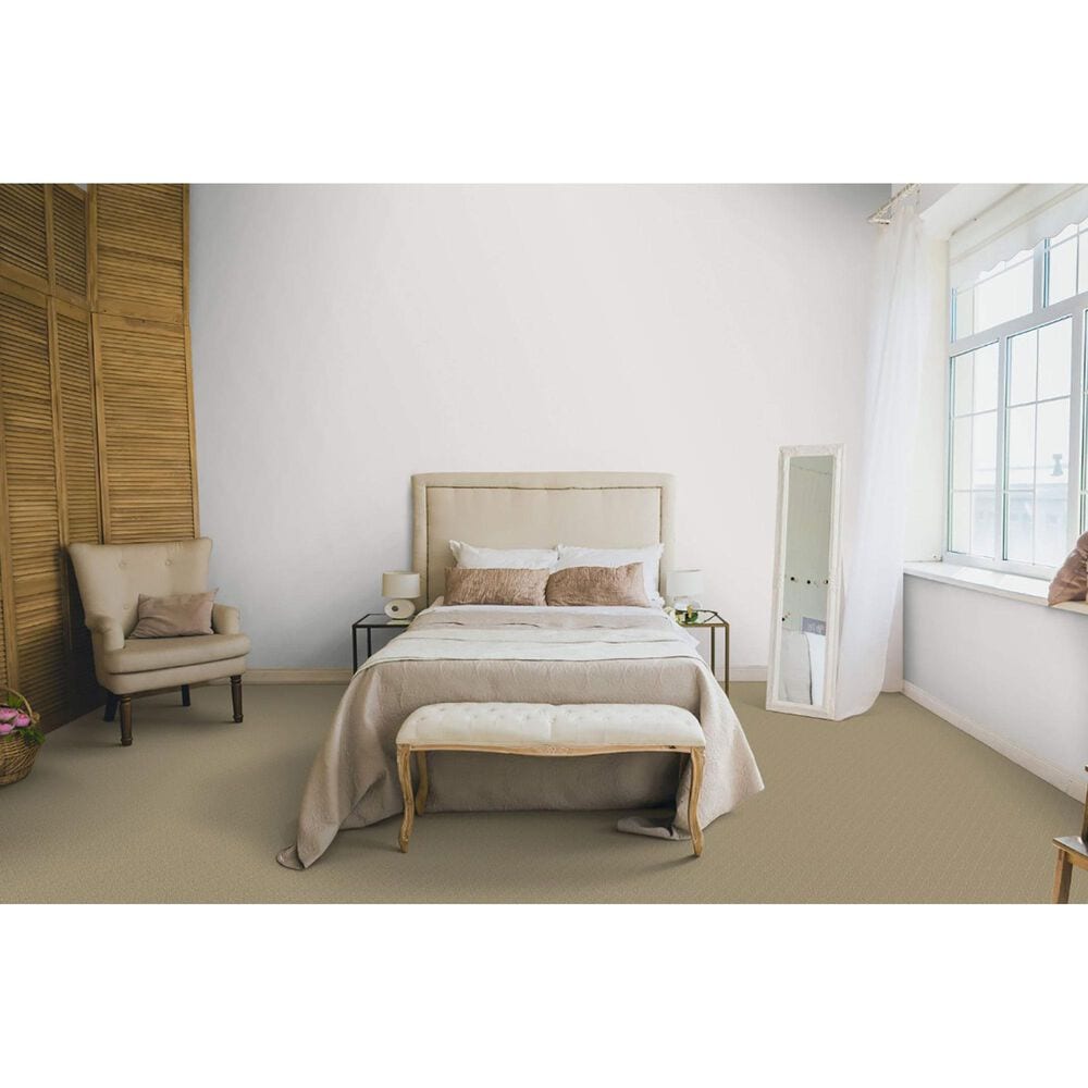 Dixie Home Culture Carpet in Avenue, , large