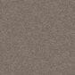Shaw Yes You Can II Carpet in Soft Sense, , large