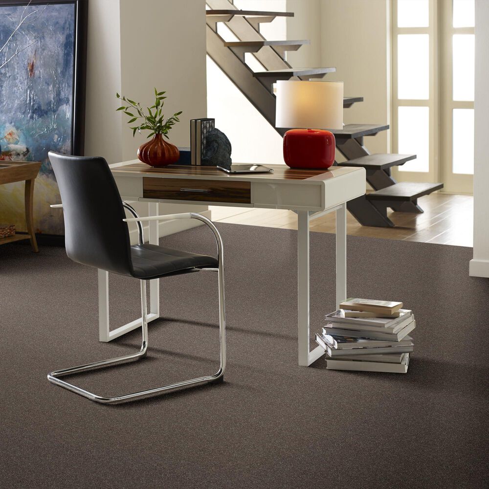 Shaw Simply the Best Attainable Carpet in Urban Loft, , large