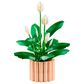 LEGO Botanicals Peace Lily Building Set, , large