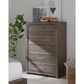 Riva Ridge Modern Loft 5 Piece Queen Storage Panel Bedroom Set in Greystone, , large