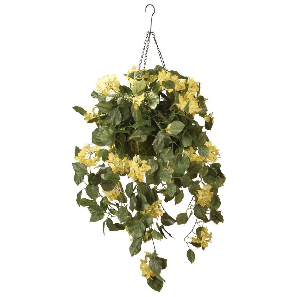 National Tree 14" Bougainvillea in Hanging Basket, , large
