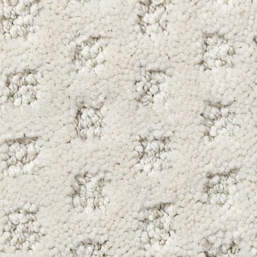 Anderson Tuftex Narrow Creek Carpet in Mohair, , large